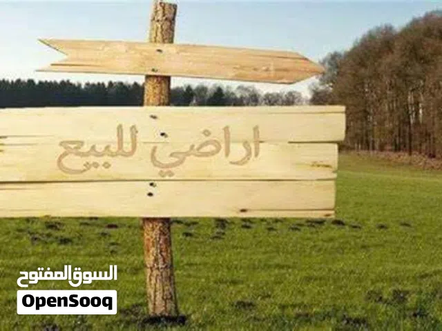قطعة ارض لقطة  ومطلة في منطقة عين الباشا مساحة 798م2  حوض الخرشا على شارعين