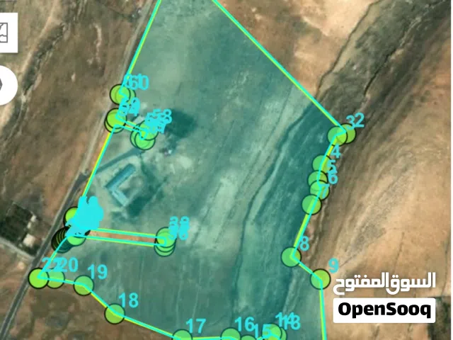 Farm Land for Sale in Tafila Al-Ayes