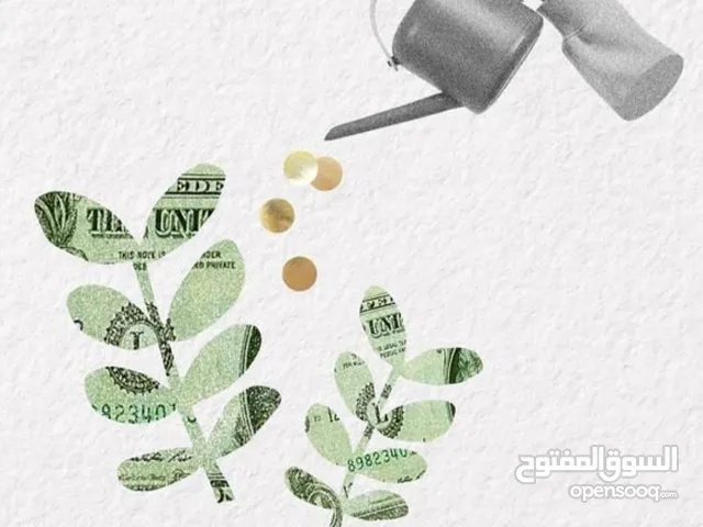 مشروع استثماري شريك