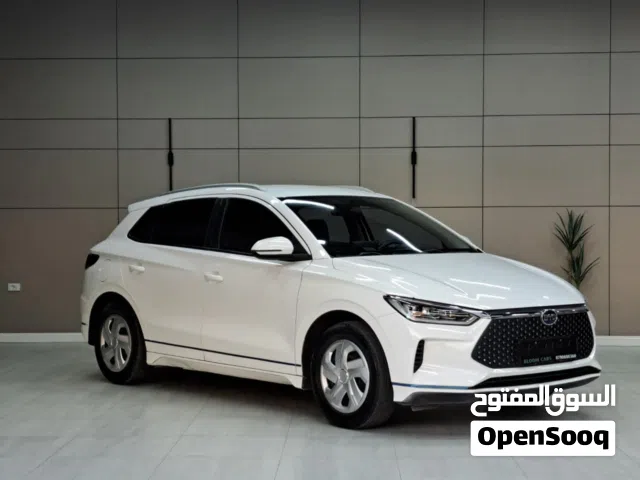 2020 BYD E2