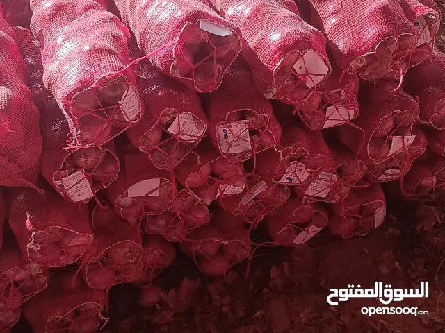 بصل أحمر يمني طازج – وزن 20–25 كجم  كميات كبيرة  تصدير لجميع الدول العربية التعبئة: أكياس شبك تصدير