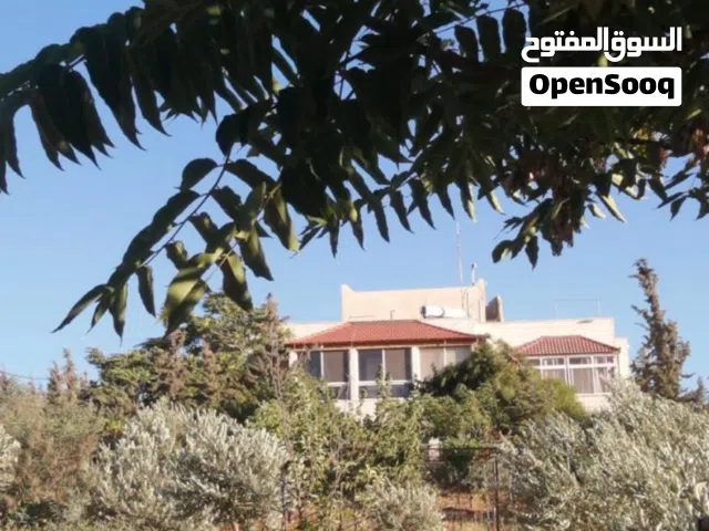 فيلا ومزرعة في جرش للبيع
