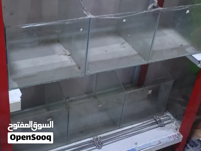 عارضة كرزات