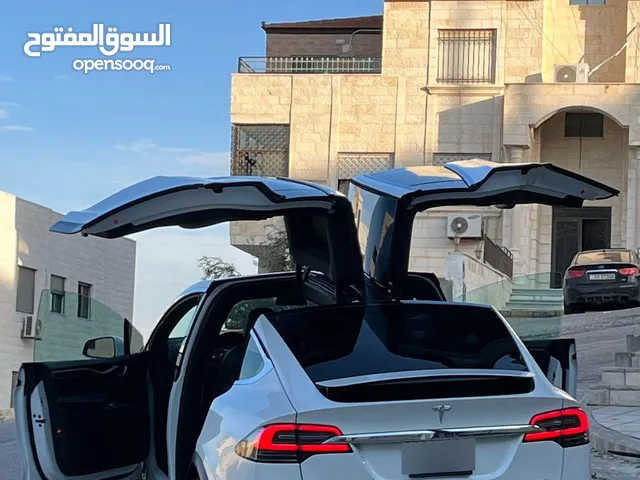 TESLA MODEL X 2019 LONG RANGE