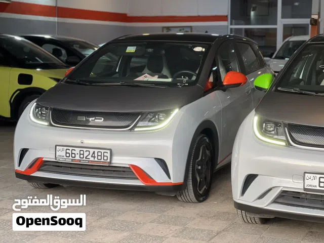 2022, بي واي دي, دولفين