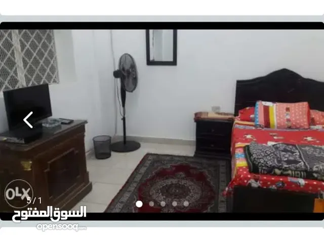 Furnished Daily in Cairo First Settlement
