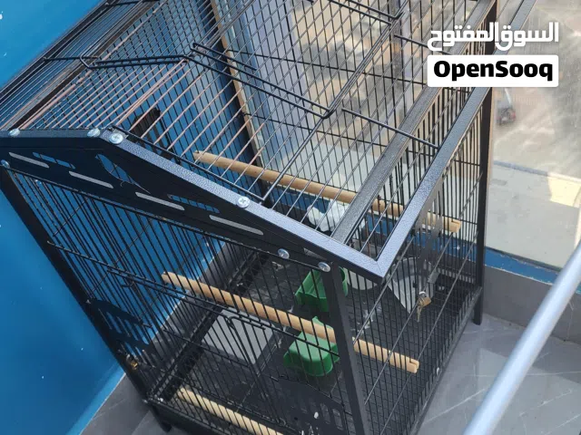 قفص للطيور مع اكسسوارته Cage for birds and some accessories