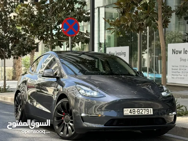 تسلا Y موديل 2023 بيرفومنس تيسلا TESLA MODEL Y 2023 ( Performance)