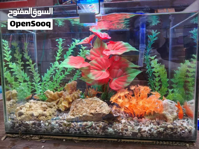 حوض سمك مميز للبيع