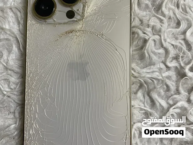 iPhone 13 Pro