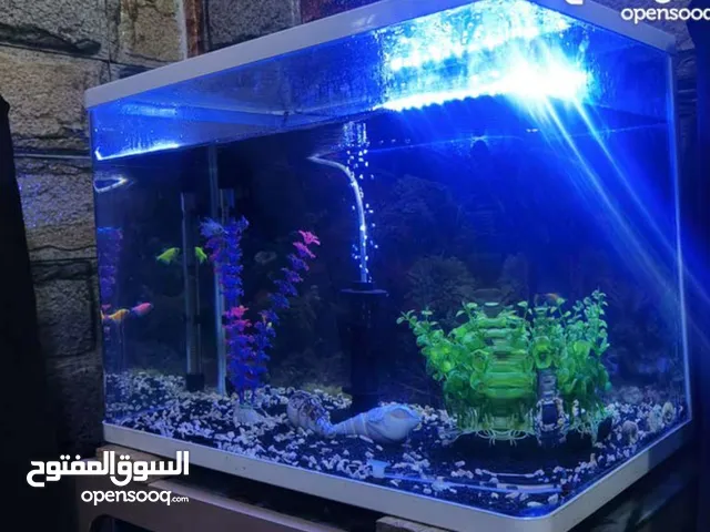 للبيع حوض سمك قياس 60*40
