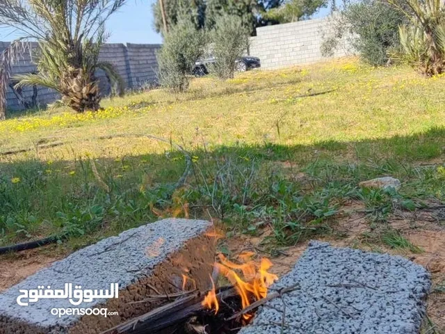 Mixed Use Land for Sale in Tripoli Wadi Al-Rabi