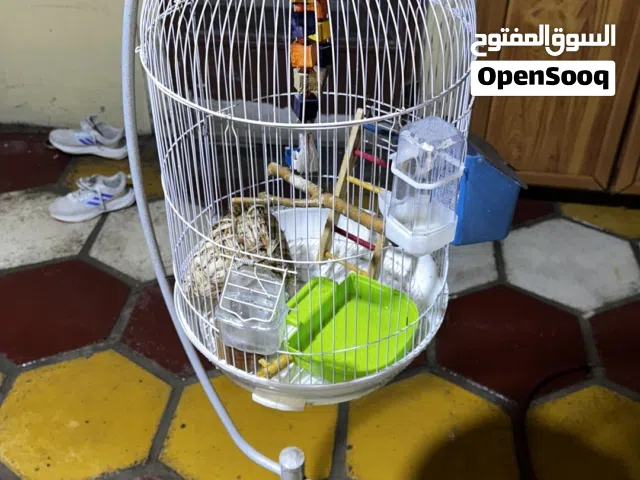 قفص طيور حب او ببغاء او قندوره او كوكتيل مع الملحقات كامله