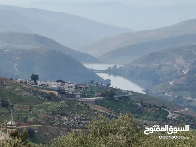 Residential Land for Sale in Jerash Al-Mastaba