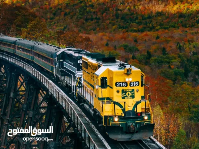 مطلوب ممول مشروع