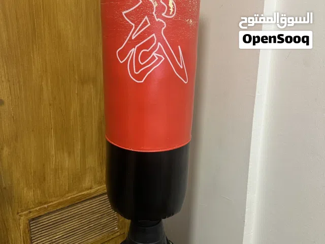 Boxing bag