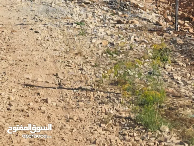 1500 m2 More than 6 bedrooms Villa for Sale in Jenin Barta'a