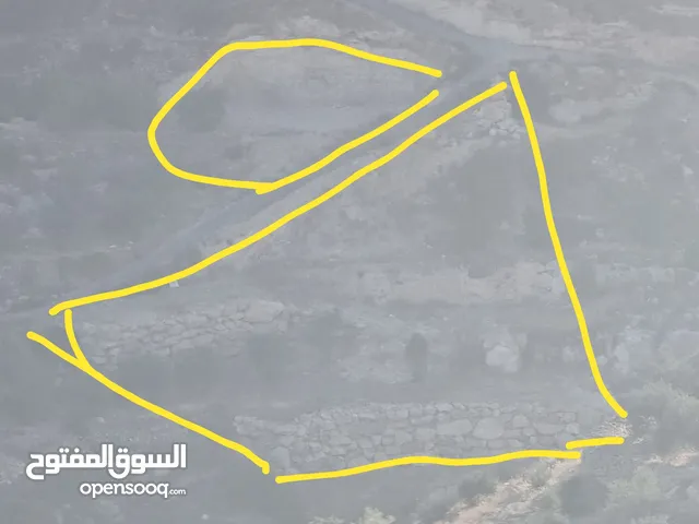 Mixed Use Land for Rent in Hebron Other