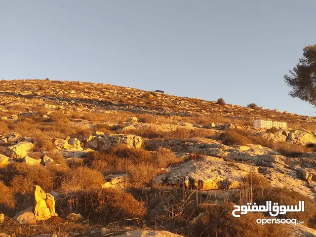 أرض للبيع من المالك مباشرة الخليل دورا