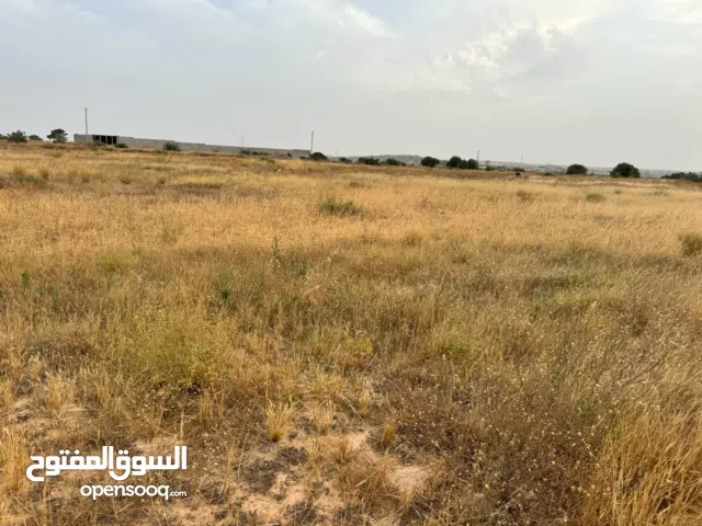 هكتار و800 في الخمس النقازة بالقرب من فندق النقازة واجهة شمالية غربية