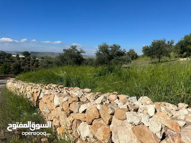 Farm Land for Sale in Zarqa Al-Alouk