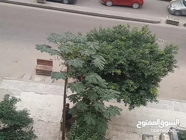 بجوار كارفور وفتح الله جاردنيا بجوار سنترال مصطفي كامل