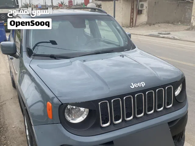 2018 جيب اخرى