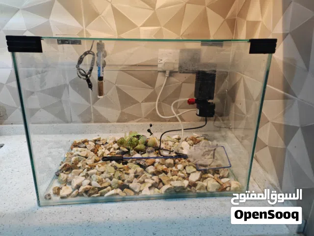 حوض سمك 50 سم عميق