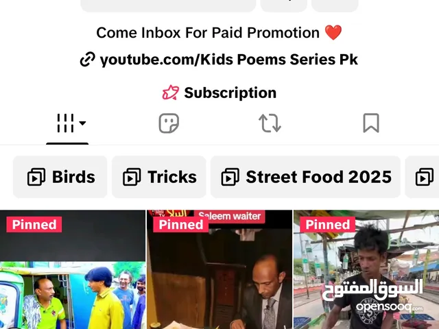 USA Monitized TikTok Account