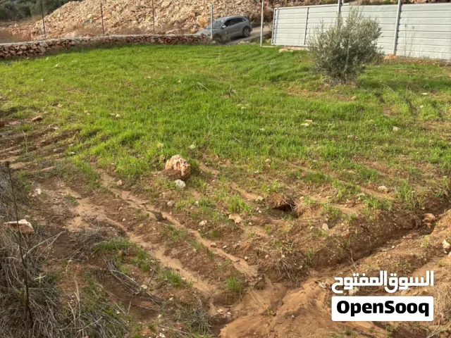 Mixed Use Land for Sale in Qalqilya Other