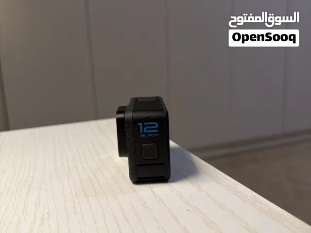 Go pro back 12