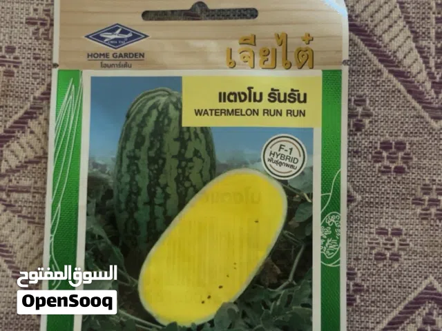 بذور بطيخ تايلاندي F-1