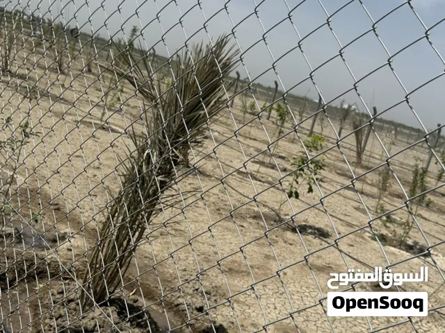 نصف دونم زراعي سند 25 للبيع يصلح لعدة استثمارات