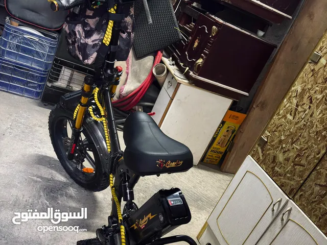 بسكليت كهربا