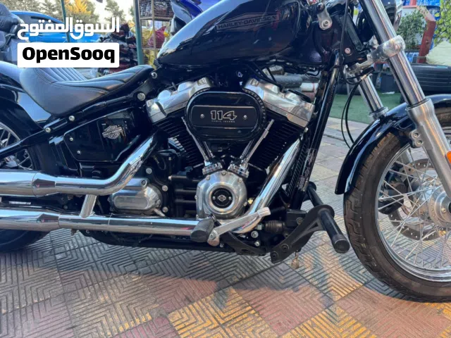 2021 Harley Davidson Softail Slim