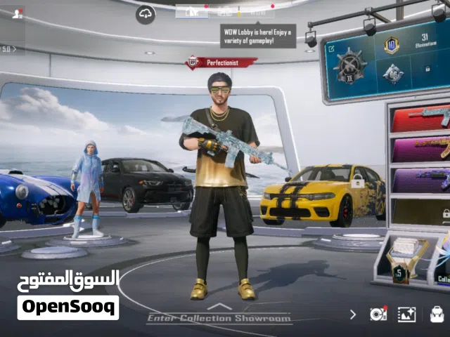 Pubg mobile account 81 level