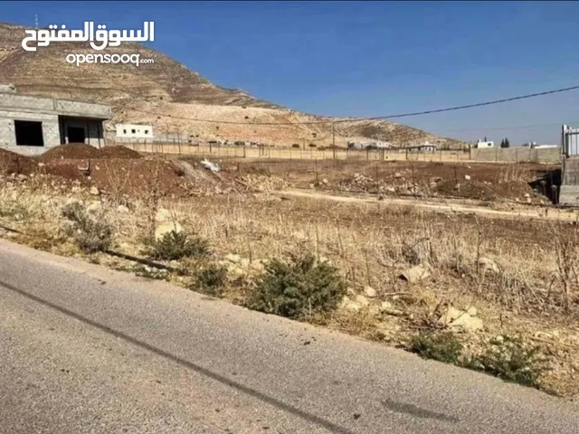 Residential Land for Sale in Nablus Al Nassariya