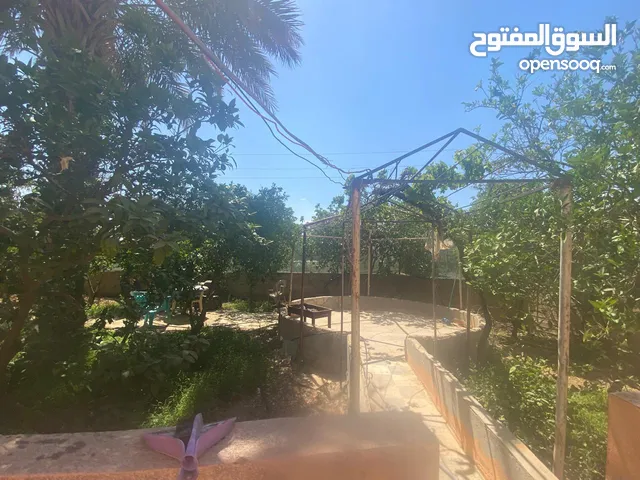 منزل مع حديقه