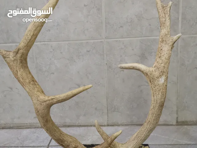 تحف لتزيين المنازل والمجالس و المتاحف