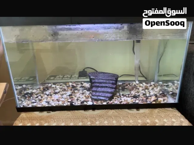 حوض اسماك - aquarium tank