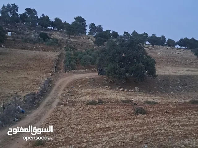Mixed Use Land for Sale in Jerash Amamah