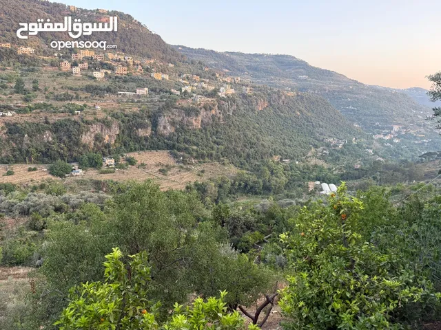 Furnished Monthly in Chouf Kafr Him