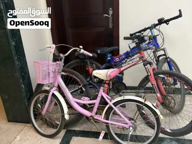 Pink bicycle