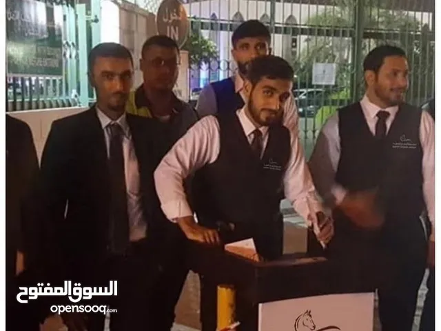 مجموعة الحصان السعيد لصف السيارات