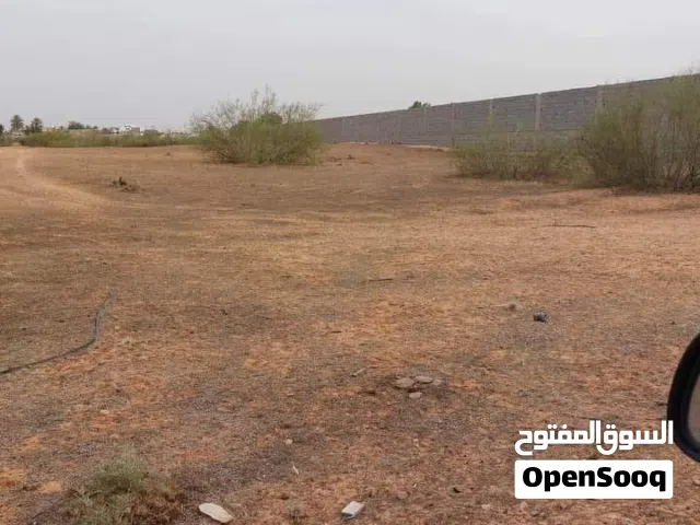 Farm Land for Sale in Tripoli Wadi Al-Rabi