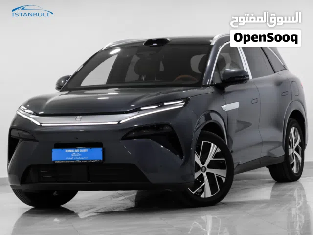 2025 بي واي دي تانج