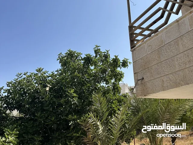 441 m2 More than 6 bedrooms Townhouse for Sale in Amman Al Muqabalain