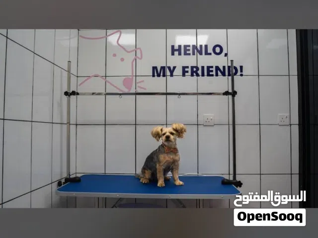 للبيع محل عناية بالحيوانات الأليفة ومستلزماتها
