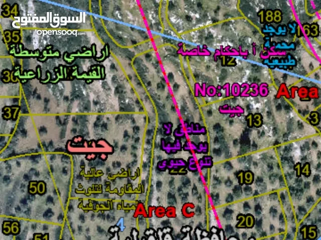 ارض استثماريه