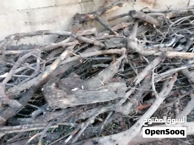 حطب للبيع زيتون ولوز وسرو وتين
